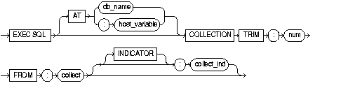 COLLECTION TRIM COLLECTION TRIM