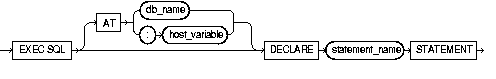DECLARE STATEMENT DECLARE STATEMENT
