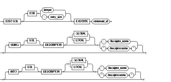 EXECUTE DESCRIPTOR EXECUTE DESCRIPTOR