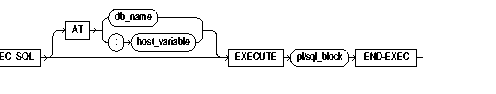 EXECUTE...END-EXEC EXECUTE...END-EXEC