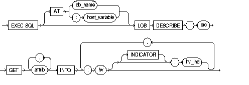 LOB DESCRIBE LOB DESCRIBE