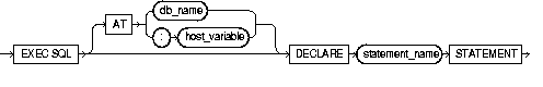 DECLARE STATEMENT DECLARE STATEMENT