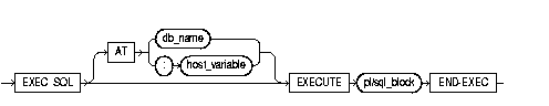 EXECUTE ... END-EXEC EXECUTE ... END-EXEC