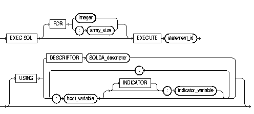 EXECUTE EXECUTE