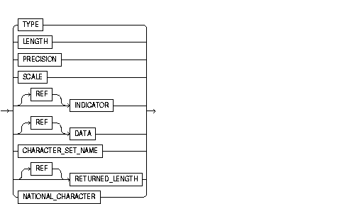 SET DESCRIPTOR SET DESCRIPTOR