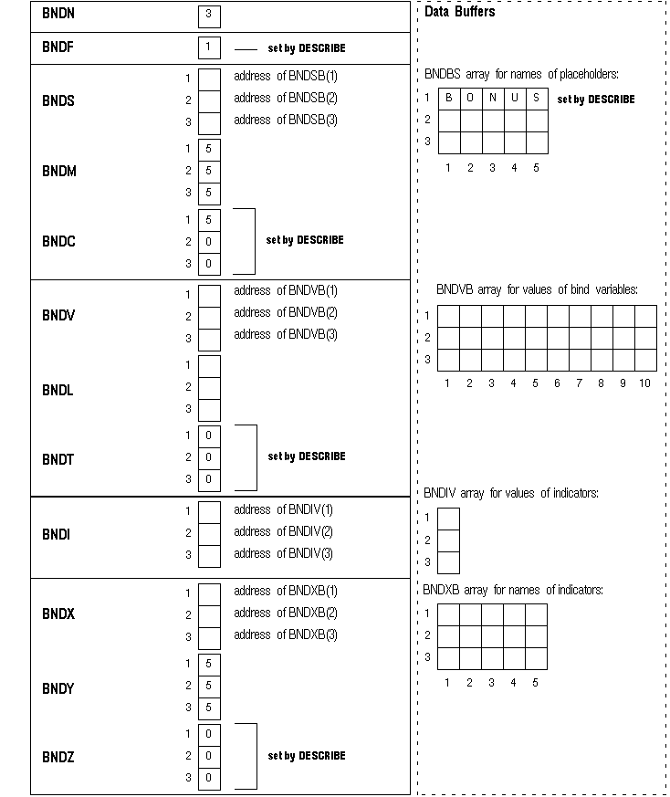 Bind Descriptor after the DESCRIBE Bind Descriptor after the DESCRIBE