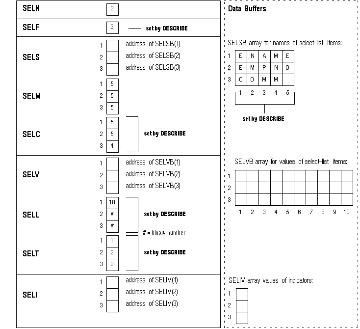 Select Descriptor after the DESCRIBE Select Descriptor after the DESCRIBE